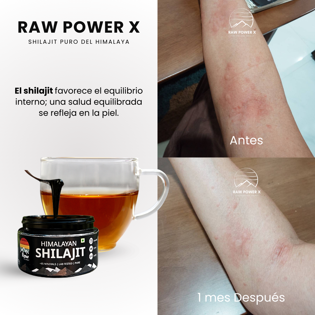 Shilajit 20 gr RAW POWER X