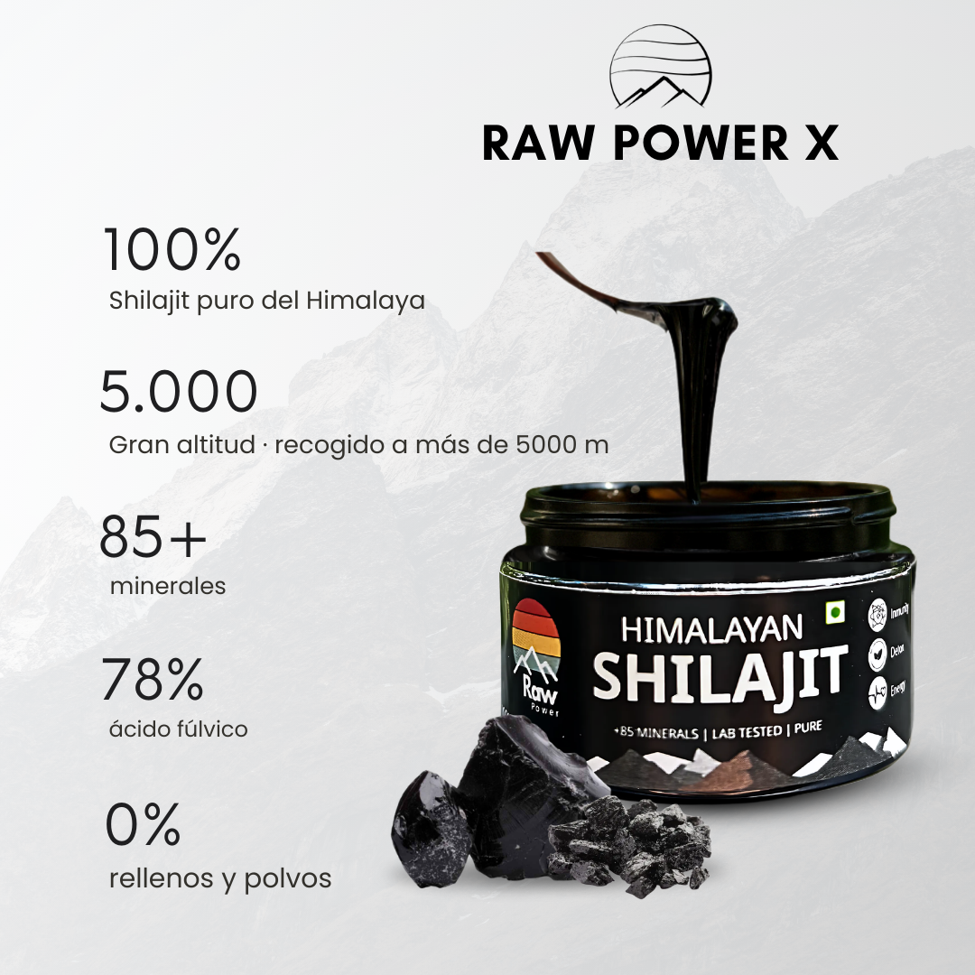 Shilajit 20 gr RAW POWER X