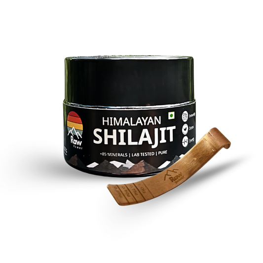 Shilajit 20 gr RAW POWER X