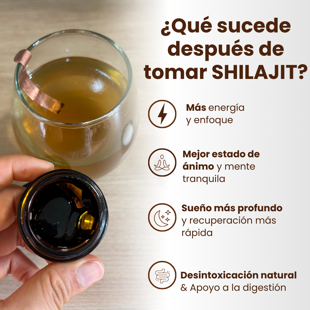 Shilajit 20 gr RAW POWER X