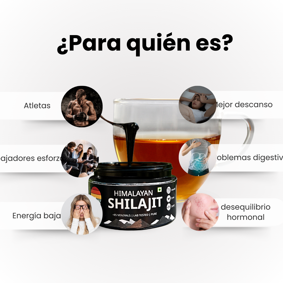 Shilajit 20 gr RAW POWER X