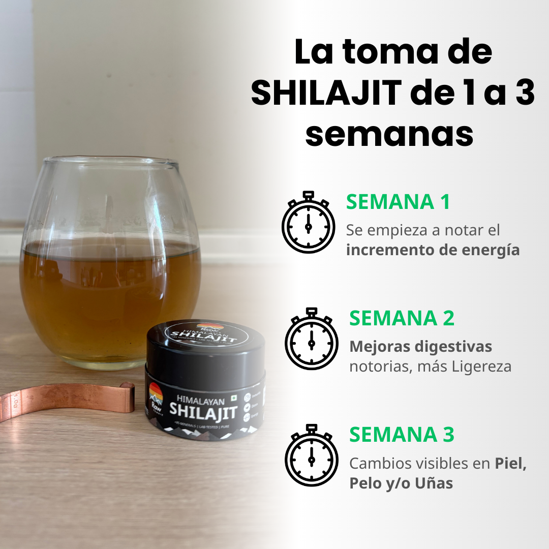 Shilajit 20 gr RAW POWER X